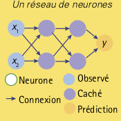 neurones-5